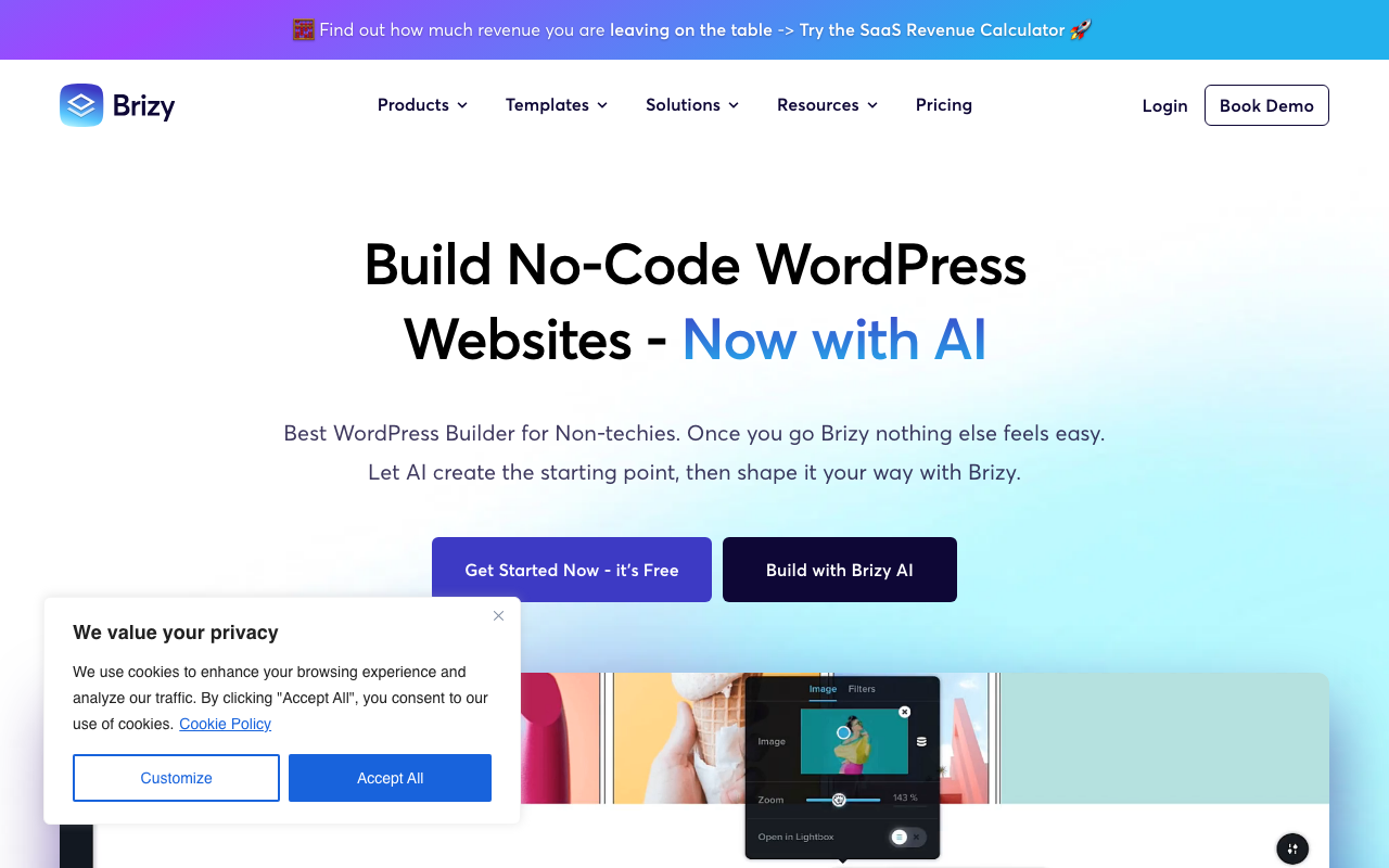 Brizy WordPress