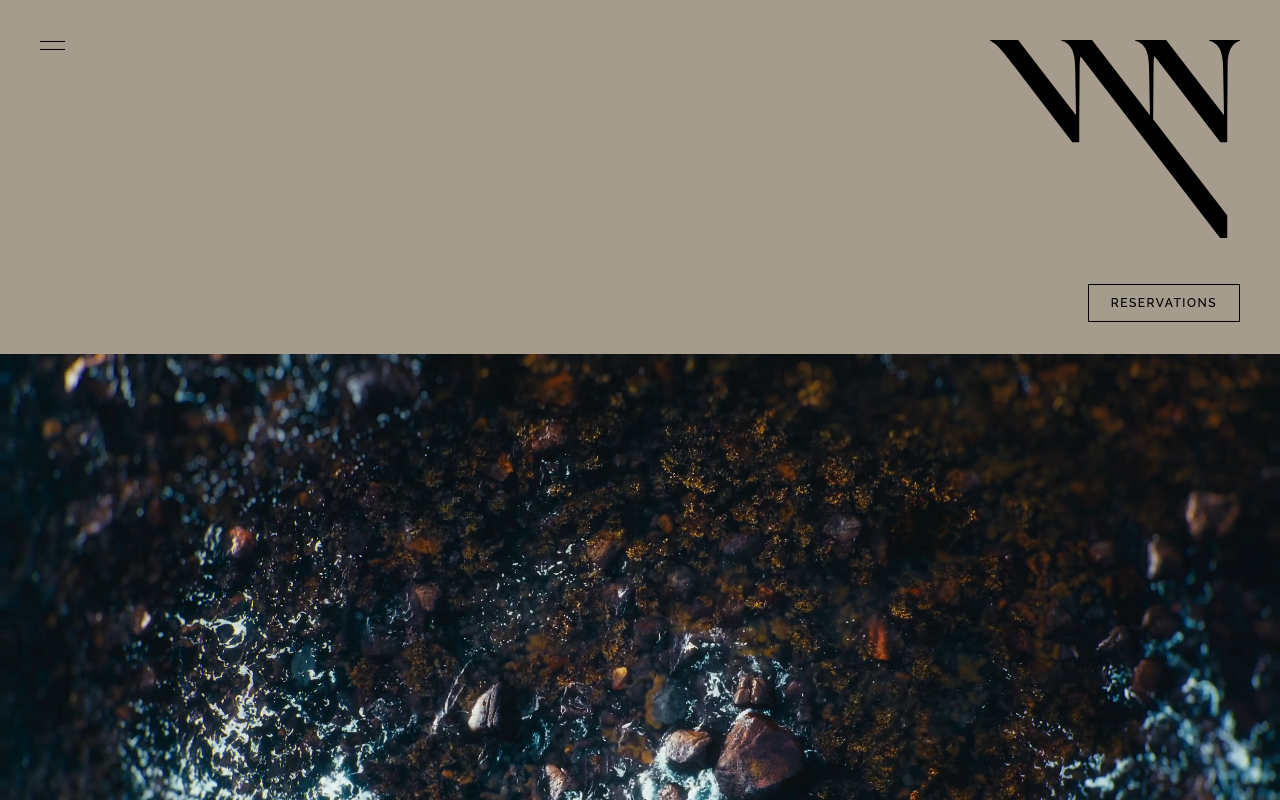 Vyn